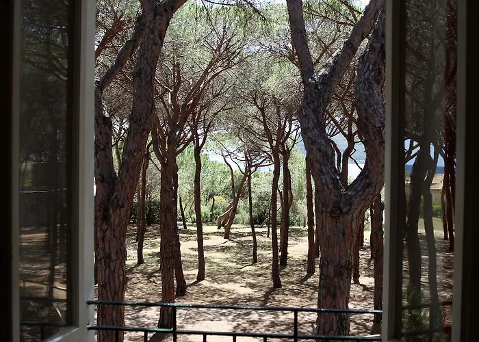 Hotel Villa Nettuno